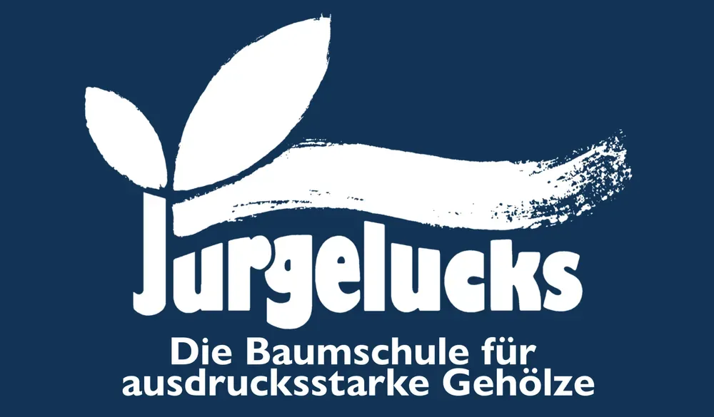 Jurgelucks GmbH